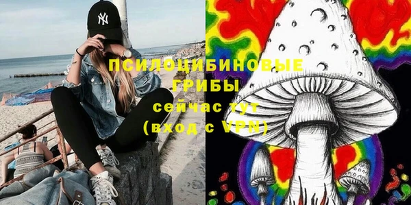 ПСИЛОЦИБИНОВЫЕ ГРИБЫ Алексин