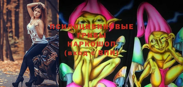 ПСИЛОЦИБИНОВЫЕ ГРИБЫ Алексин